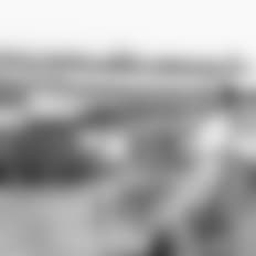 特別企画 日本赤軍とは何だったのか